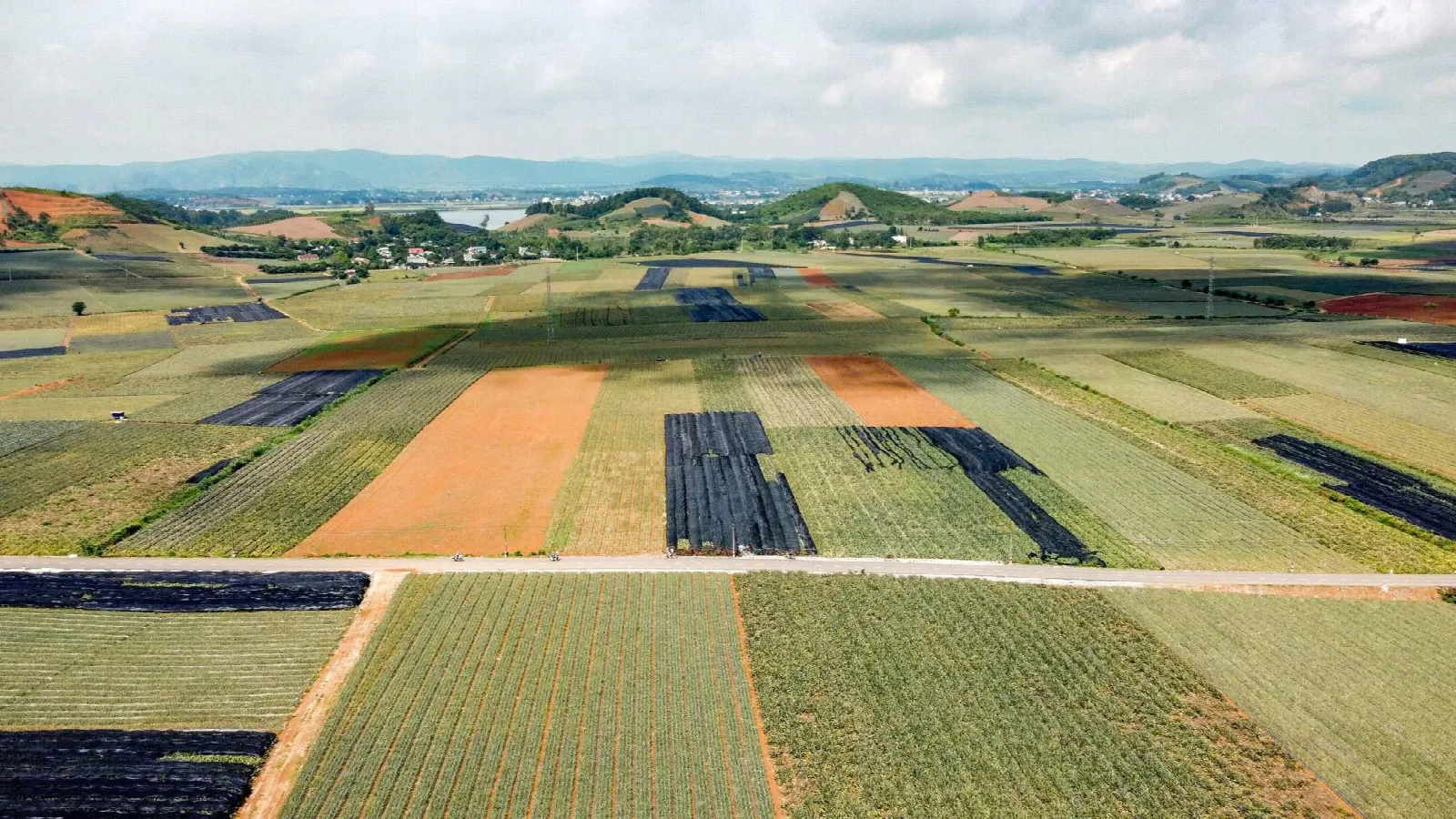 Luftaufnahme über landwirtschaftliche Felder in Thanh Hóa, Vietnam