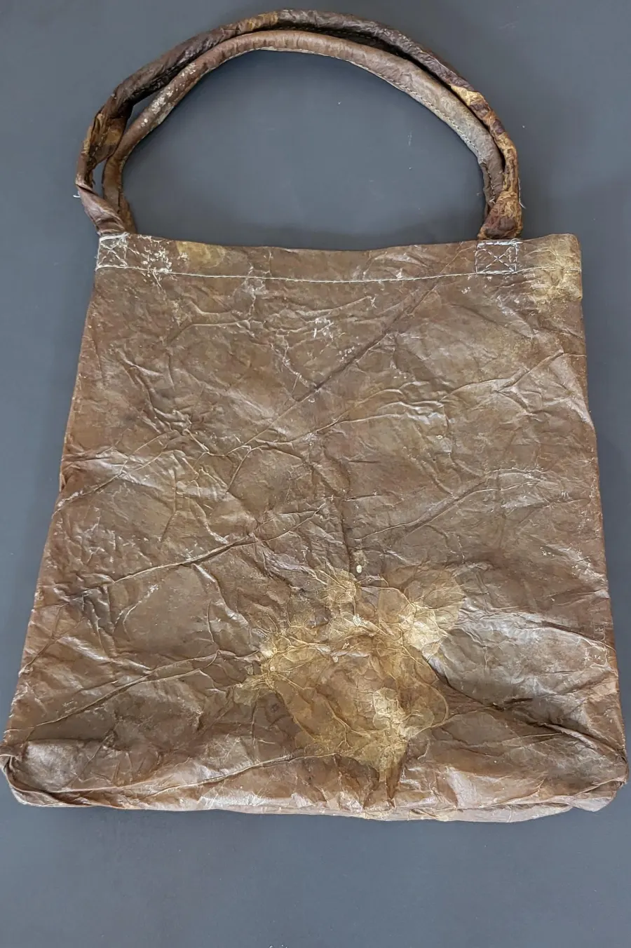 Einkaufstasche aus getrocknetem SCOBY