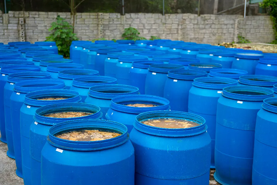 Reihen blauer Fermentationsfässer im Freien