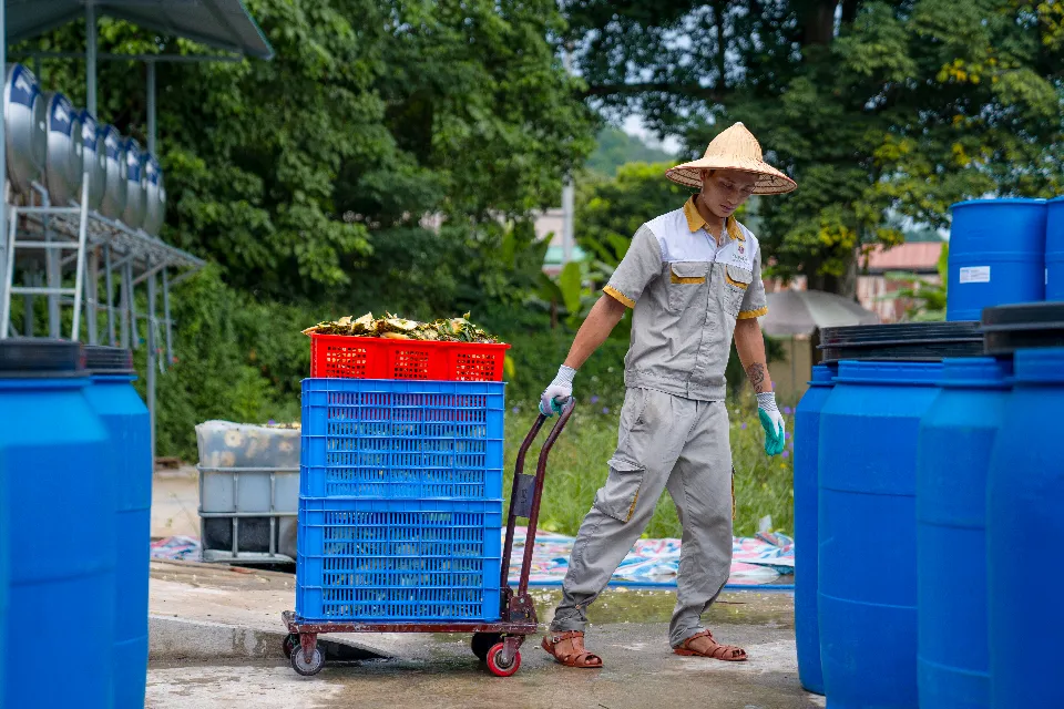Ein Arbeiter mit Kegelhut schiebt einen Wagen voller Körbe zu den Fässern
