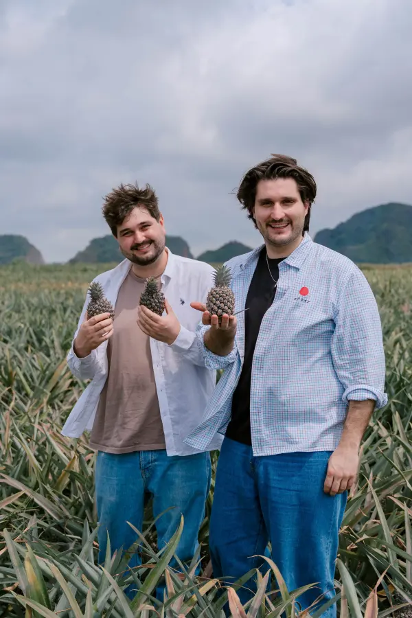 Lars und Louis stehen lachend in einem Ananasfeld in Vietnam und halten junge Ananas in den Händen
