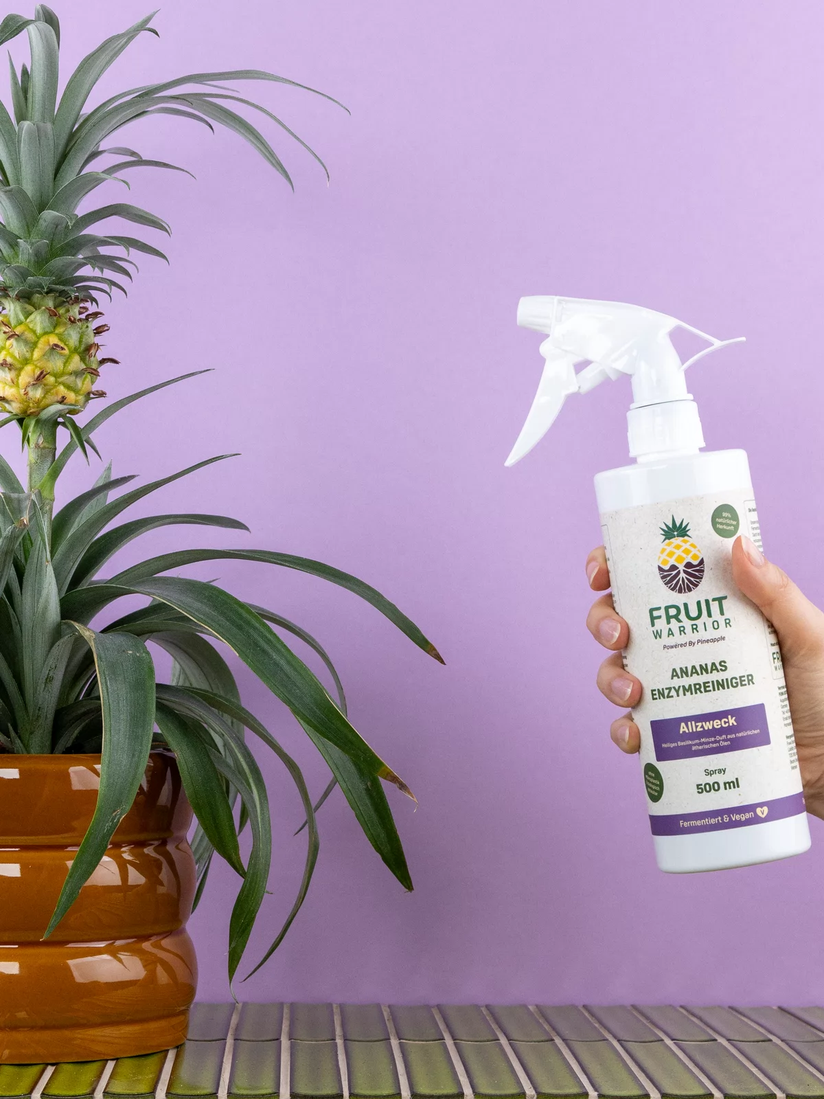Fruit Warrior Allzweck Enzymreiniger in einer Hand neben einer Ananaspflanze